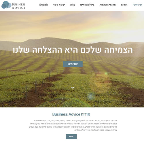 businessadvice - עיצוב ופיתוח אתר וורדפרס עם AVADA
