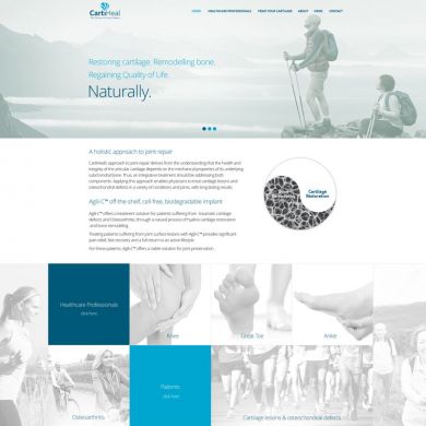 עיצוב ופיתוח אתר וורדפרס עם אבאדה לחברת - Carti Heal